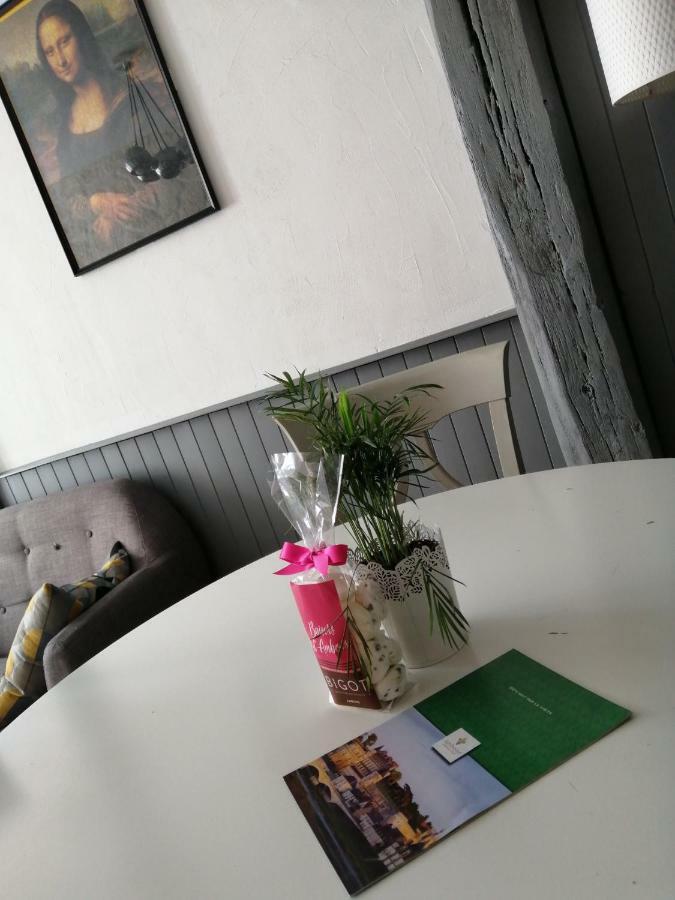 Le Sourire De Mona Lisa Apartment Amboise Ngoại thất bức ảnh